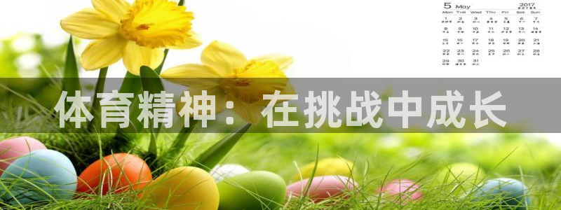 杏耀2平台：体育精神：在挑战中成长