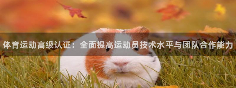 意昂4官网：体育运动高级认证：全面提高运动员技术水平与团队合作能力