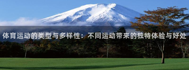 意昂平台：体育运动的类型与多样性：不同运动带来的独特体验与好处