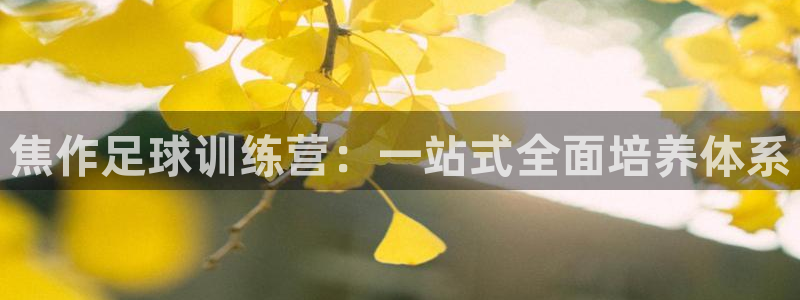 意昂体育官网登录：焦作足球训练营：一站式全面培养体系