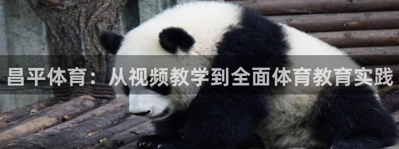 杏耀体育凯捷平台主管：昌平体育：从视频教学到全面体育教育实践