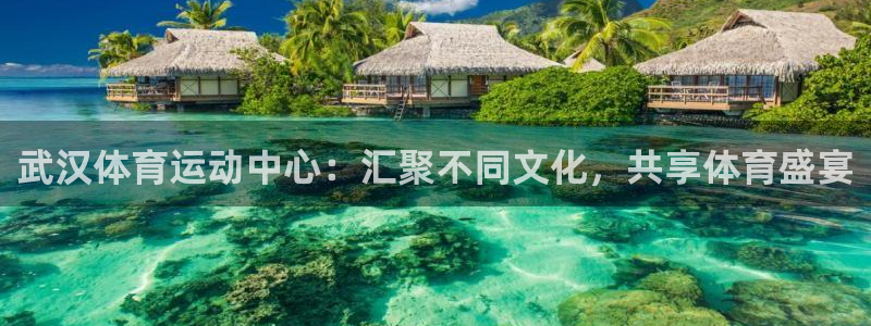 意昂总代：武汉体育运动中心：汇聚不同文化，共享体育盛宴
