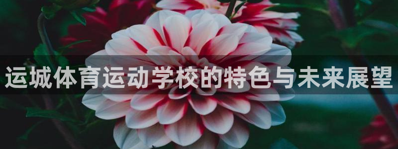 福建意昂机电股份公司：运城体育运动学校的特色与未来展望