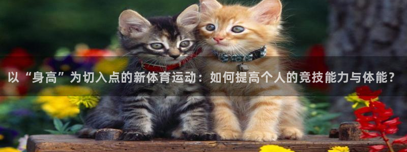 杏耀2代理注册：以“身高”为切入点的新体育运动：如何提高个人的竞技能力与体能？