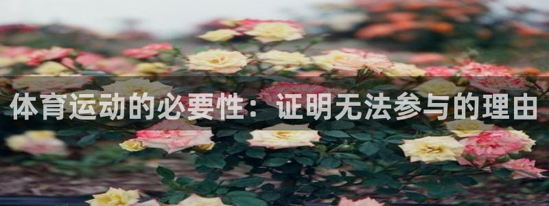 意昂4官网：体育运动的必要性：证明无法参与的理由