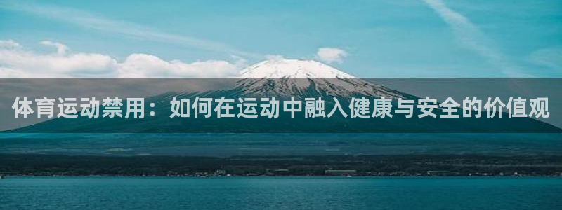 杏耀4：体育运动禁用：如何在运动中融入健康与安全的价值观