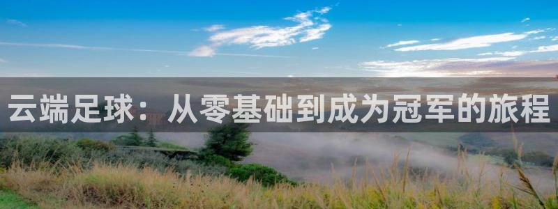 杏耀体育2：云端足球：从零基础到成为冠军的旅程