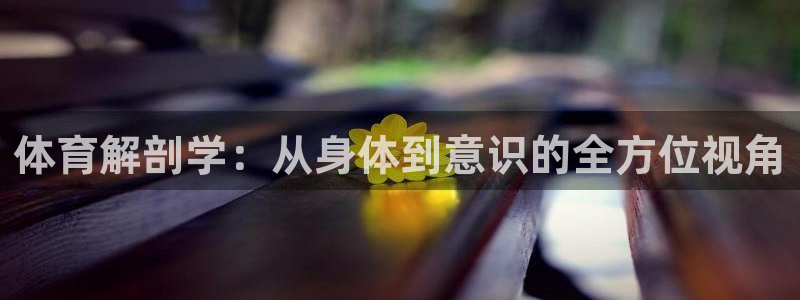 上海杏耀汽车电子有限公司：体育解剖学：从身体到意识的全方位视角