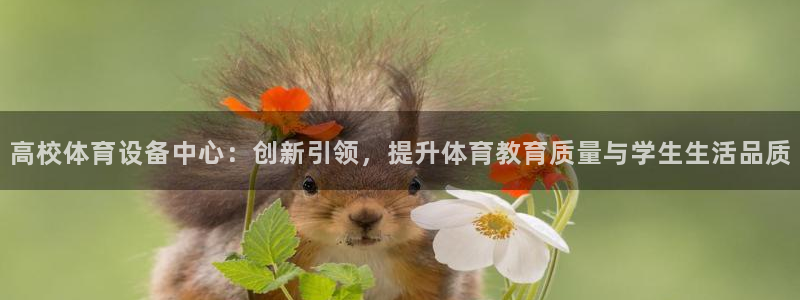杏耀官网：高校体育设备中心：创新引领，提升体育教育质量与学生生活品质