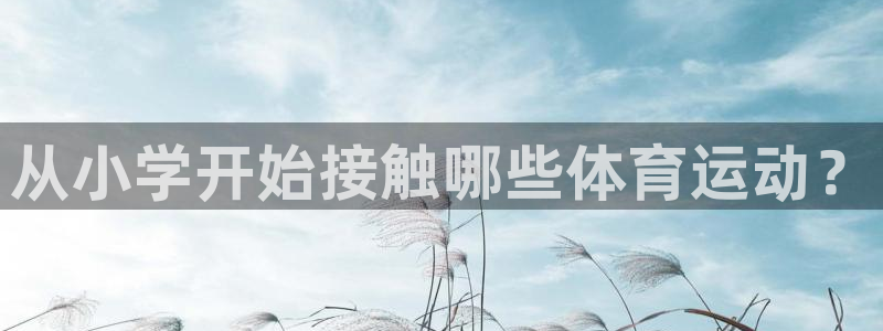 杏耀平台登录：从小学开始接触哪些体育运动？