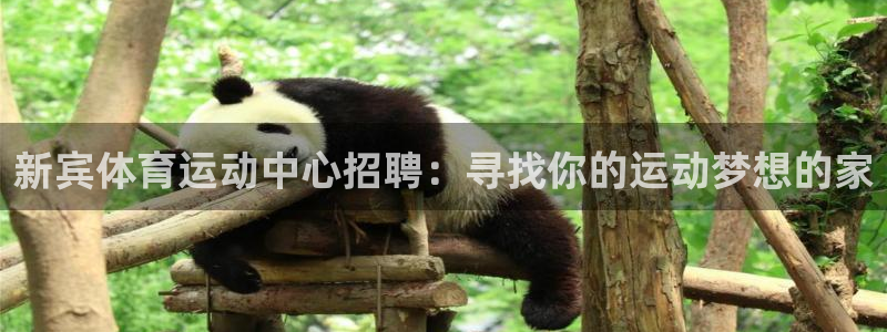 杏耀代理注册：新宾体育运动中心招聘：寻找你的运动梦想的家