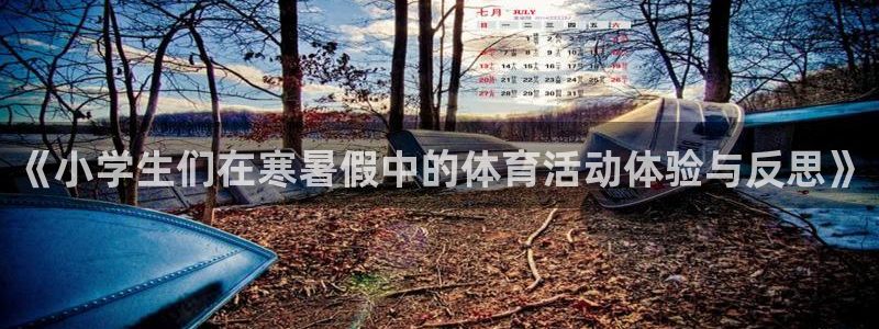 杏耀3官网登录：《小学生们在寒暑假中的体育活动体验与反思》