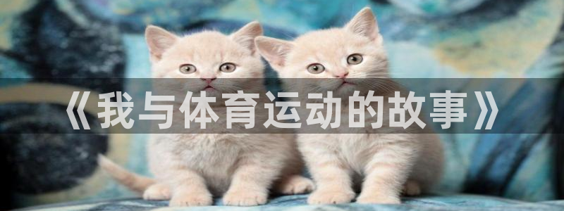 杏耀官网：《我与体育运动的故事》