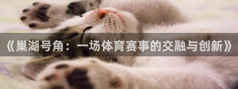 意昂5平台：《巢湖号角：一场体育赛事的交融与创新》