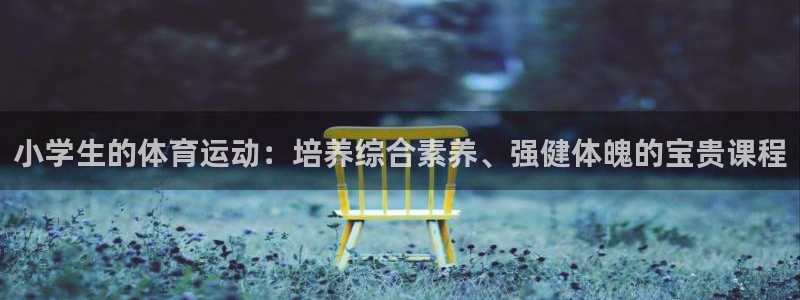 杏耀凯捷注册：小学生的体育运动：培养综合素养、强健体魄的宝贵课程