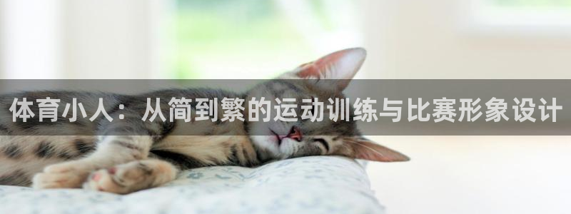 意昂3登录：体育小人：从简到繁的运动训练与比赛形象设计