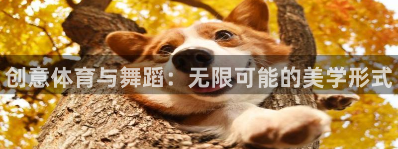 杏耀股份：创意体育与舞蹈：无限可能的美学形式