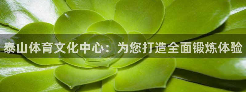 意昂体育官网：泰山体育文化中心：为您打造全面锻炼体验