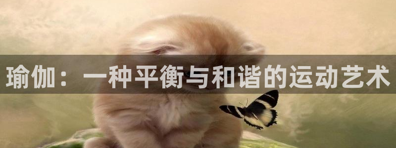 杏耀平台主管：瑜伽：一种平衡与和谐的运动艺术