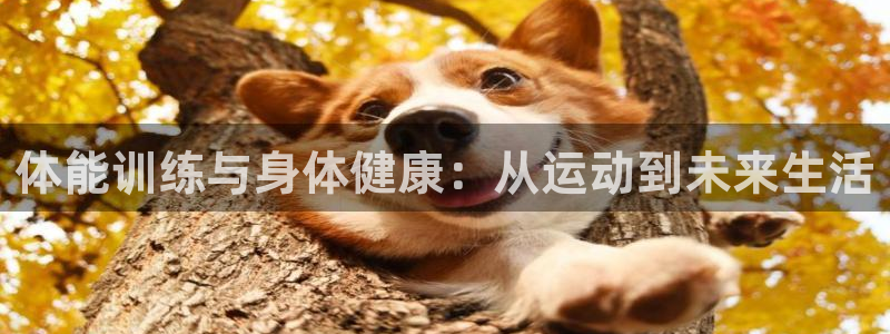 上海杏耀汽车电子有限公司：体能训练与身体健康：从运动到未来生活