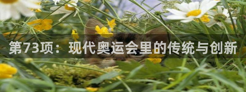 意昂3：第73项：现代奥运会里的传统与创新