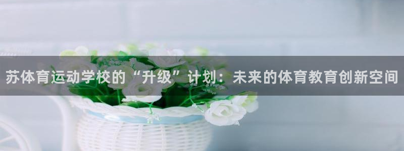 意昂体育4：苏体育运动学校的“升级”计划：未来的体育教育创新空间